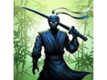 Ninja Warrior  logo